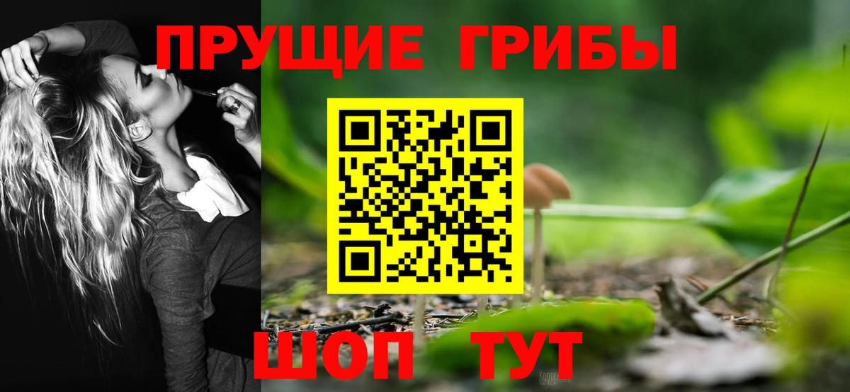 Псилоцибиновые грибы MAGIC MUSHROOMS Глазов