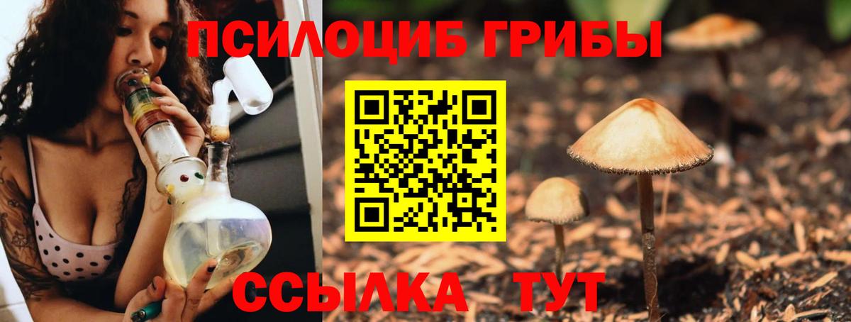 Глазов  Галлюциногенные грибы Magic Shrooms  Вход с VPN 